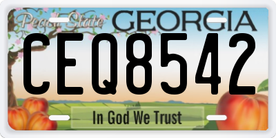 GA license plate CEQ8542