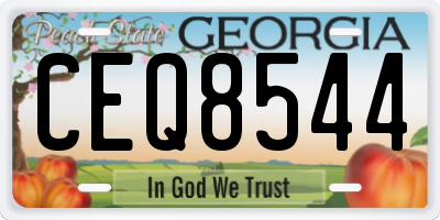 GA license plate CEQ8544