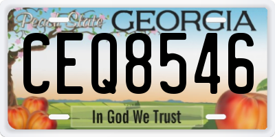 GA license plate CEQ8546