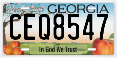 GA license plate CEQ8547