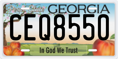 GA license plate CEQ8550