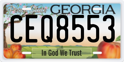 GA license plate CEQ8553