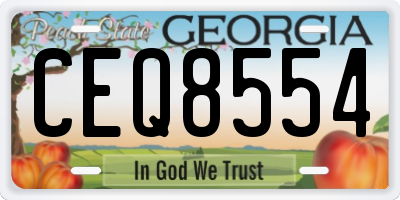 GA license plate CEQ8554