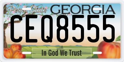 GA license plate CEQ8555