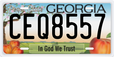 GA license plate CEQ8557