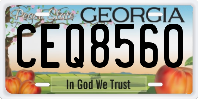 GA license plate CEQ8560