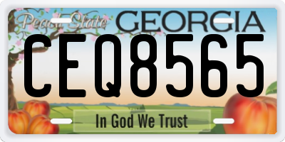 GA license plate CEQ8565