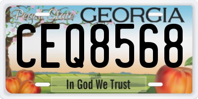 GA license plate CEQ8568