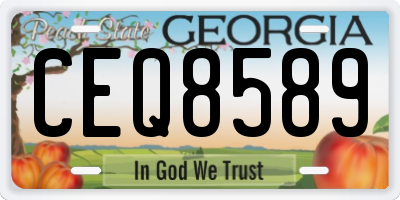 GA license plate CEQ8589