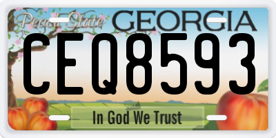 GA license plate CEQ8593