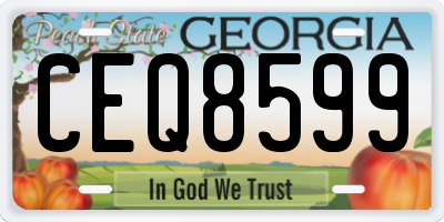 GA license plate CEQ8599