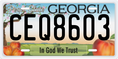 GA license plate CEQ8603