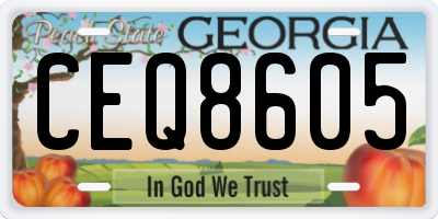 GA license plate CEQ8605