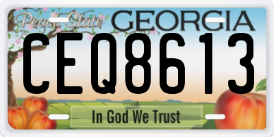 GA license plate CEQ8613