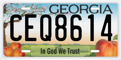 GA license plate CEQ8614