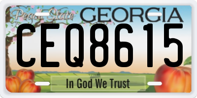 GA license plate CEQ8615