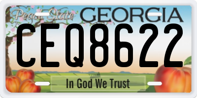 GA license plate CEQ8622