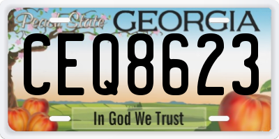 GA license plate CEQ8623