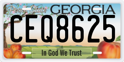 GA license plate CEQ8625