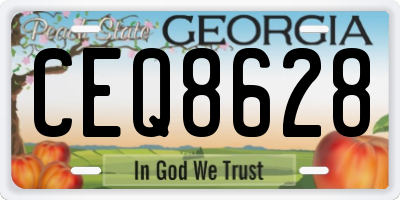 GA license plate CEQ8628