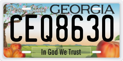 GA license plate CEQ8630