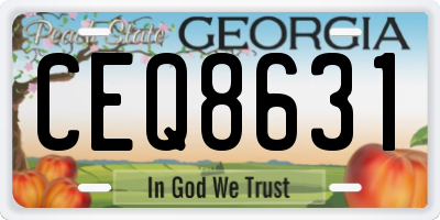 GA license plate CEQ8631
