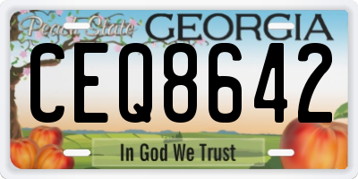 GA license plate CEQ8642