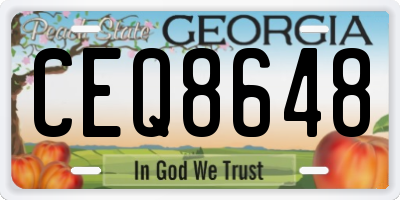 GA license plate CEQ8648