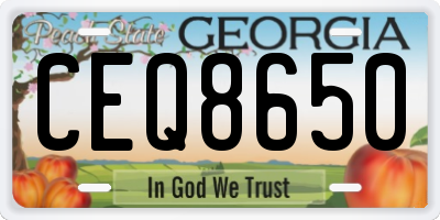 GA license plate CEQ8650