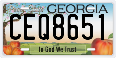 GA license plate CEQ8651