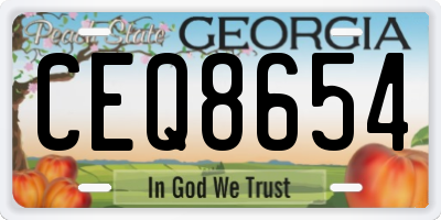 GA license plate CEQ8654