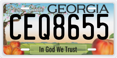 GA license plate CEQ8655