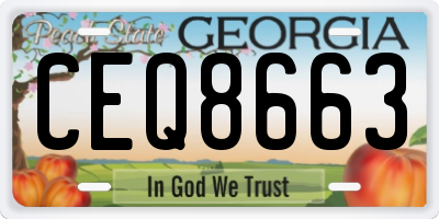 GA license plate CEQ8663