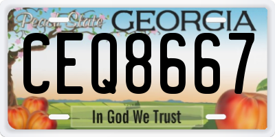 GA license plate CEQ8667