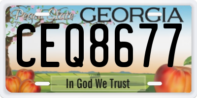 GA license plate CEQ8677