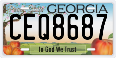 GA license plate CEQ8687