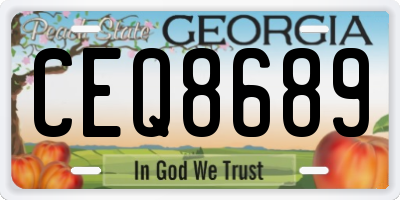 GA license plate CEQ8689