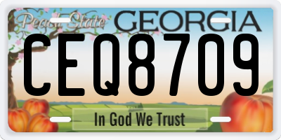 GA license plate CEQ8709