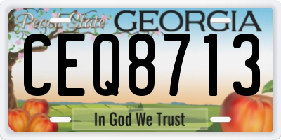 GA license plate CEQ8713