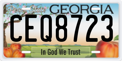 GA license plate CEQ8723