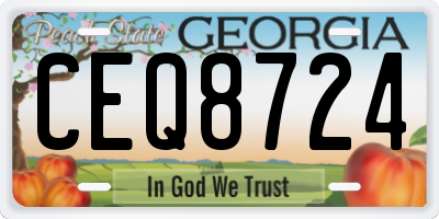 GA license plate CEQ8724