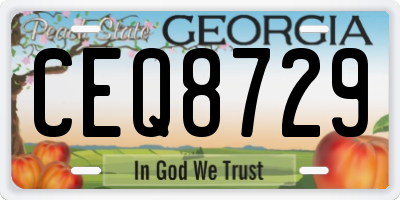 GA license plate CEQ8729