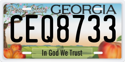 GA license plate CEQ8733
