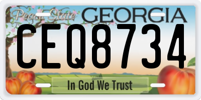 GA license plate CEQ8734