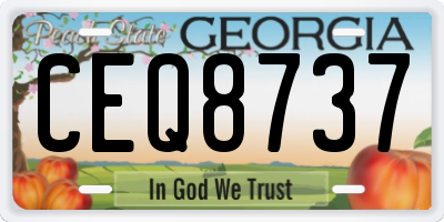 GA license plate CEQ8737