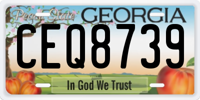 GA license plate CEQ8739