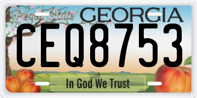 GA license plate CEQ8753