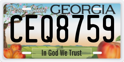 GA license plate CEQ8759