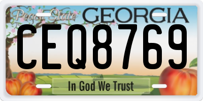 GA license plate CEQ8769