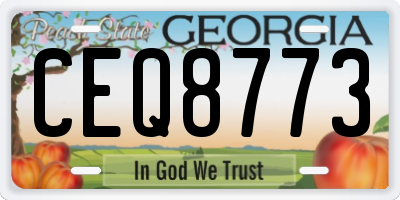 GA license plate CEQ8773
